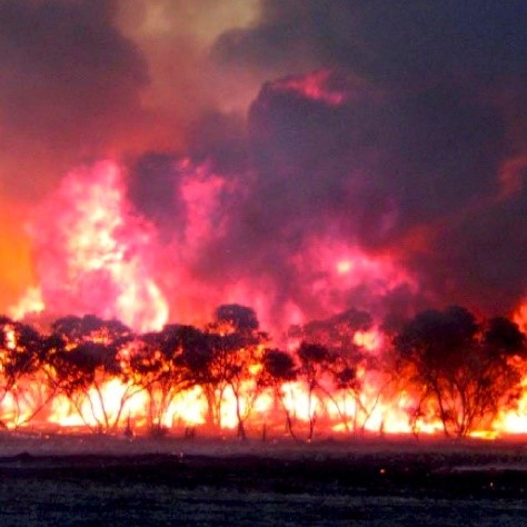 Fires