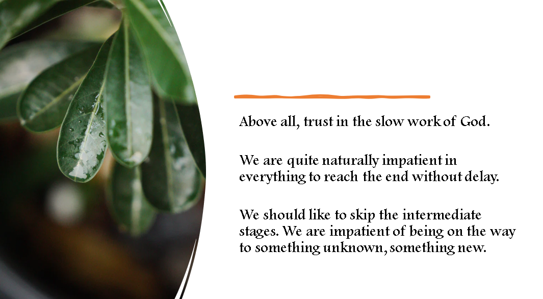 Excerpt from Teilhard de Chardin’s prayer, “Trust in the Slow Work of God,” at the conclusion of Session IV
