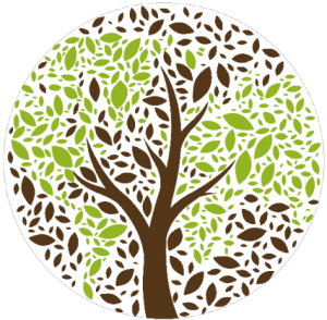 season of creation