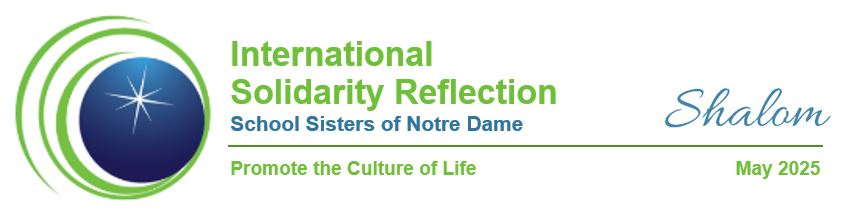 Solidarity Reflection graphic
