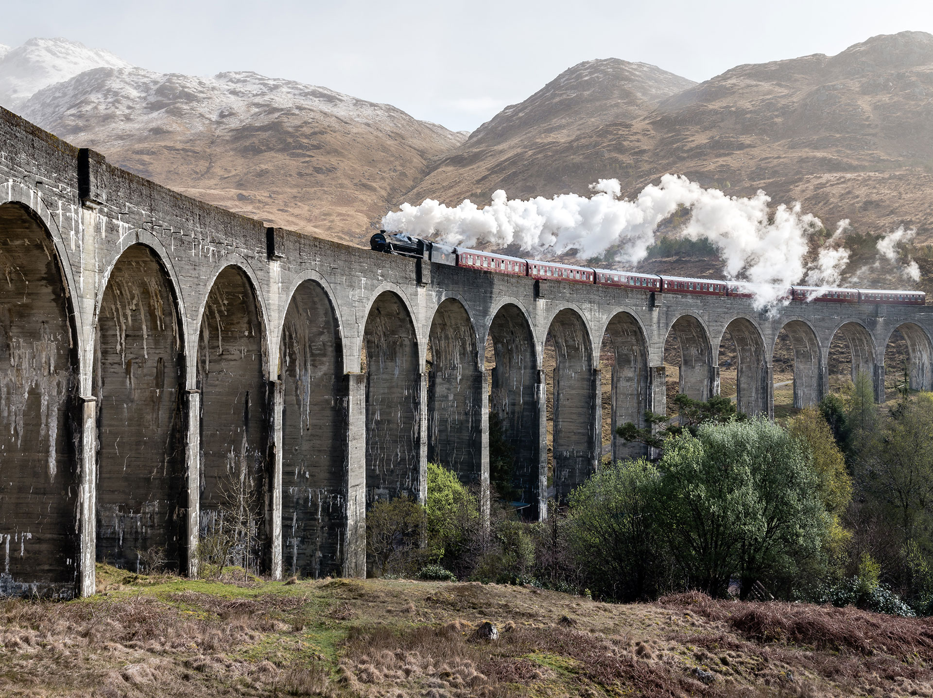 Steam Train