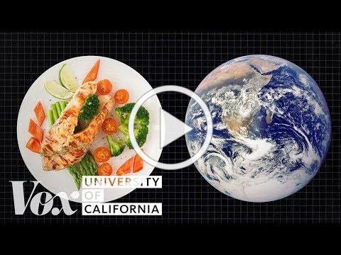 VOX Youtube video