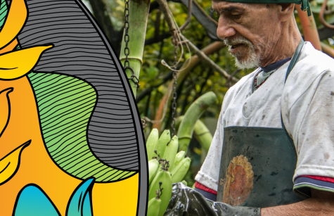 Fair Trade Month is May 2020
