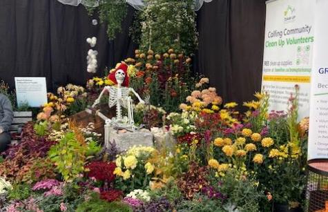 photo shows A netful of trash hangs over the pirate skeleton