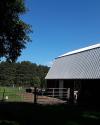 Grounds