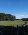 The land