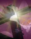 https://www.publicdomainpictures.net/en/free-download.php?image=easter-2010&id=6126