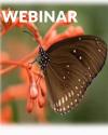 Webinar with Dr. Mary Evelyn Tucker
